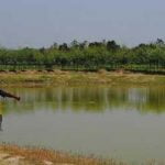 Foto : bhirawa.co.id