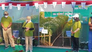 Bupati Bojonegoro Dorong Budidaya Bunga Krisan Mampu Suplai Floris
