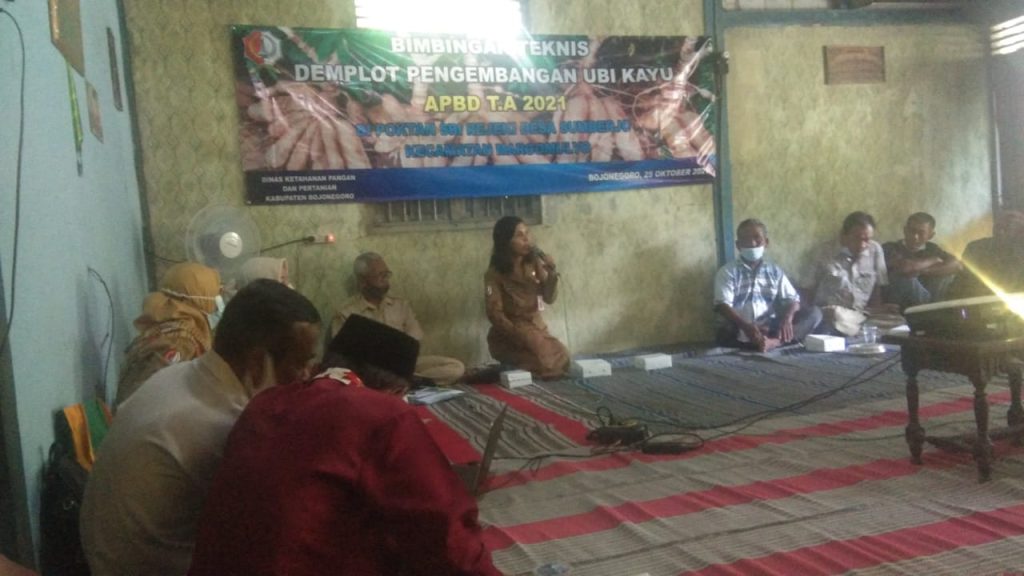 Pemkab Bojonegoro Dorong Pengembangan Bibit Unggul Ubi Kayu di Kecamatan Margomulyo