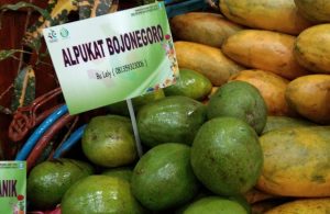 Khofifah Promosikan Buah Lokal Bojonegoro